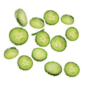 Kosher Dill Pickle Chips